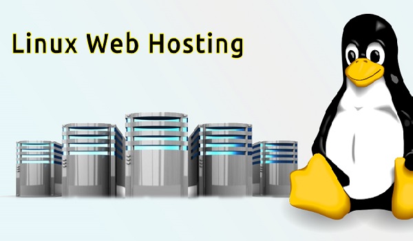 Hosting Linux là dịch vụ lưu trữ các website trên máy chủ có hệ điều hành Linux