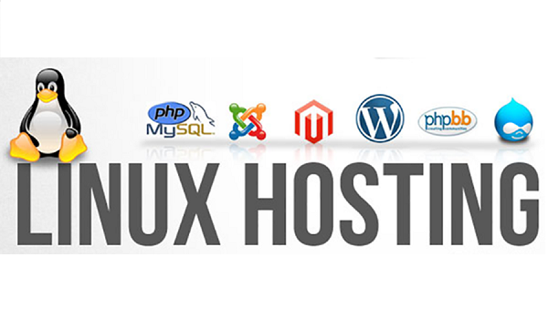 Hosting Linux càng ngày càng được ưa chuộng nhờ những tính năng nổi bật