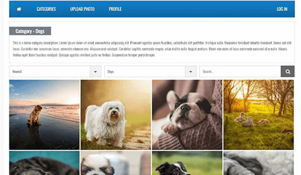  User Gallery WordPress hỗ trợ tiếng Anh và tiếng Séc