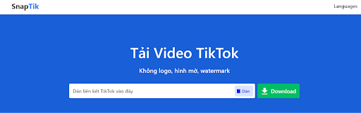 tim-hieu-cac-buoc-xoa-logo-tiktok-online-snaptik