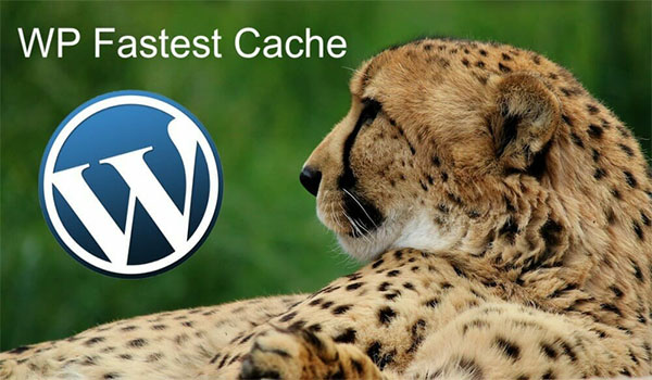  Cài đặt và kích hoạt WP Fastest Cache