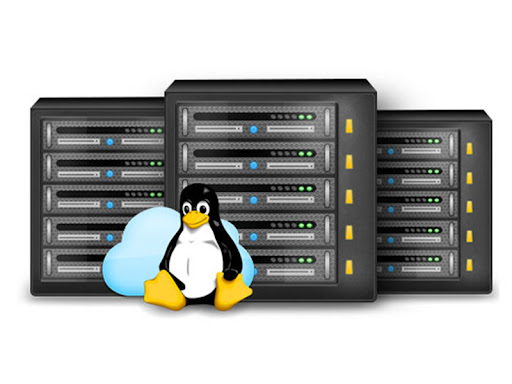 Cloud hosting linux hỗ trợ tốt cho website